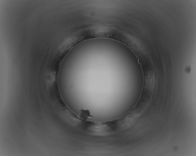 X0000093390278200710111521