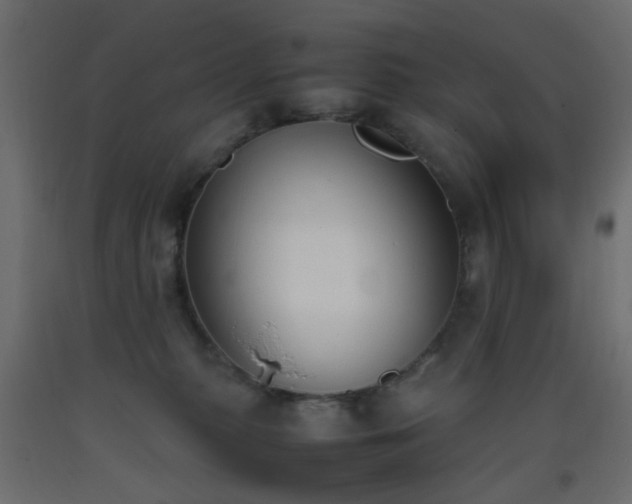 X0000093390279200710111521