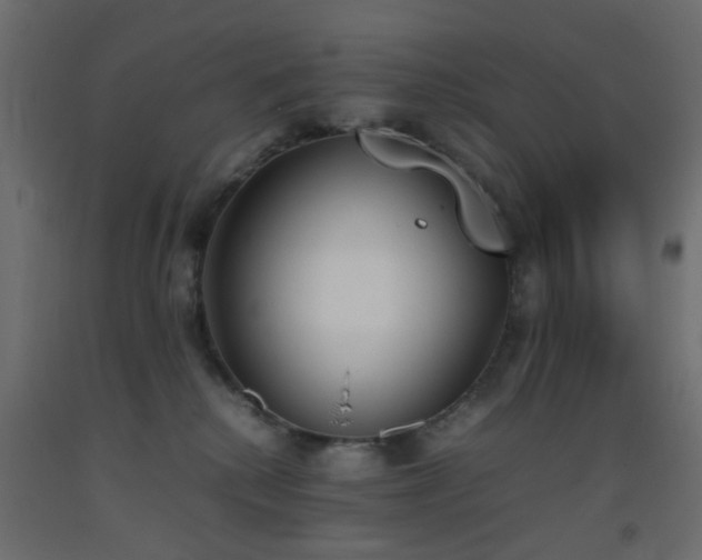 X0000093390280200710111521