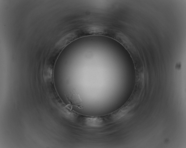 X0000093390281200710111521