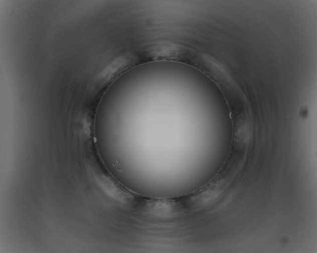 X0000093390282200710111521