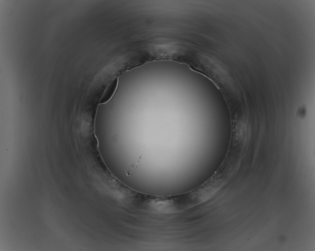 X0000093390283200710111521