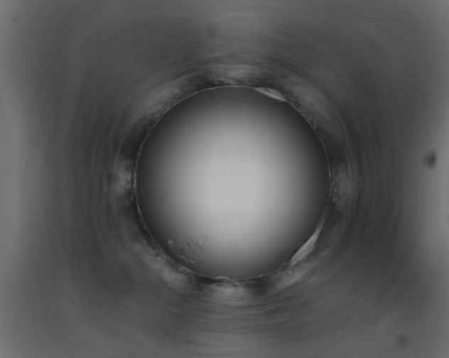 X0000093390284200710111521