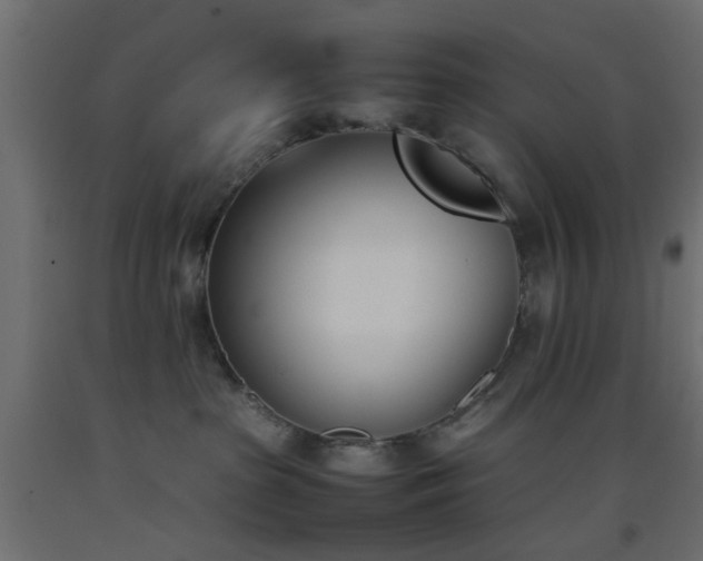 X0000093390285200710111521