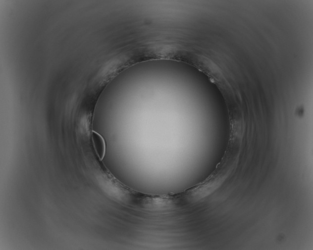 X0000093390286200710111521