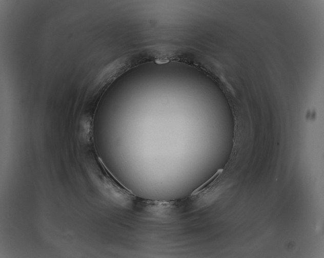 X0000093390288200710111521