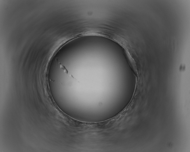 X0000093390289200710111520