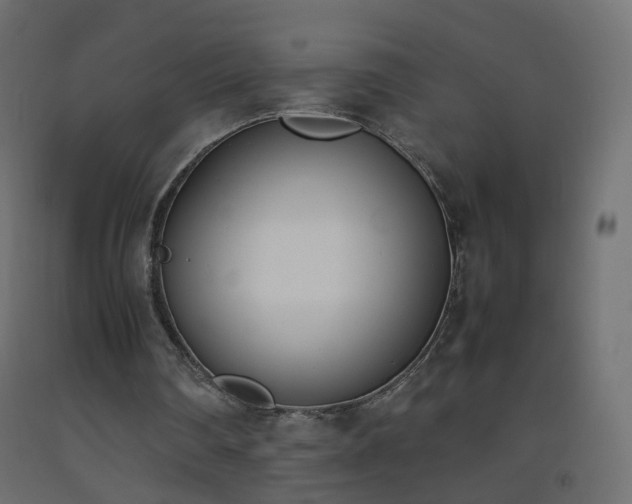 X0000093390290200710111520