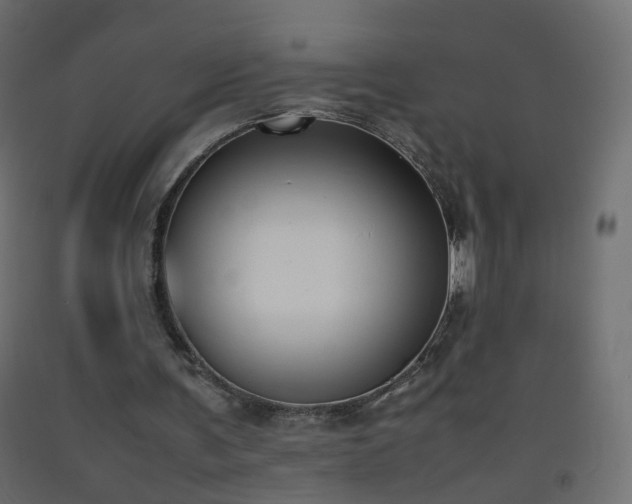 X0000093390291200710111520