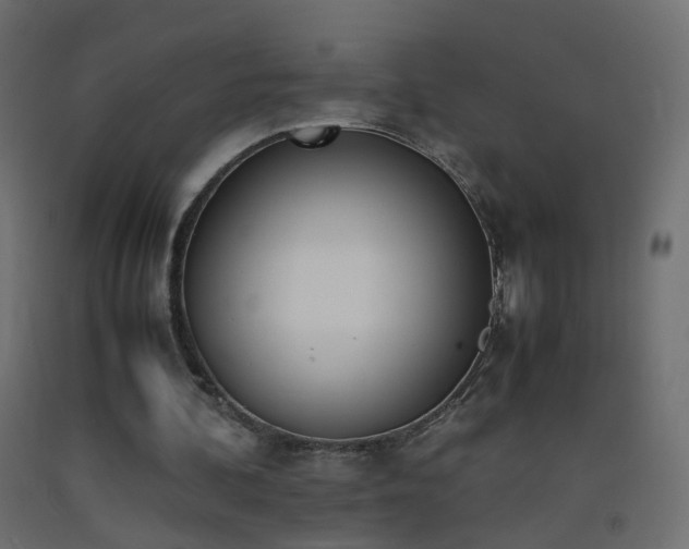 X0000093390292200710111520