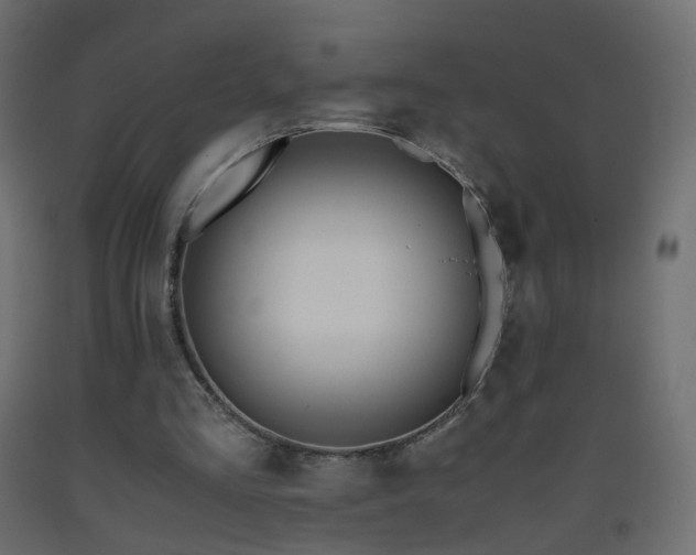 X0000093390293200710111520