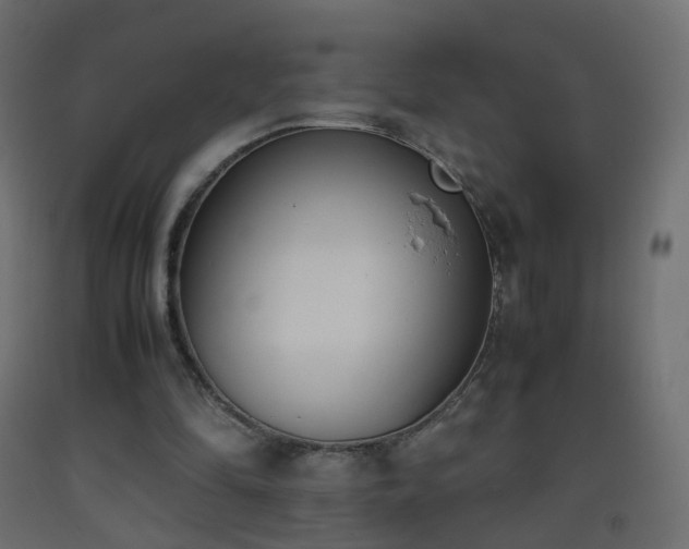 X0000093390294200710111520