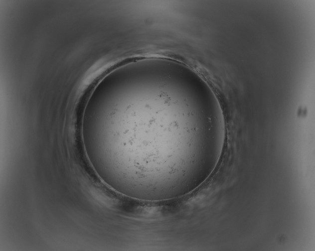 X0000093390295200710111520