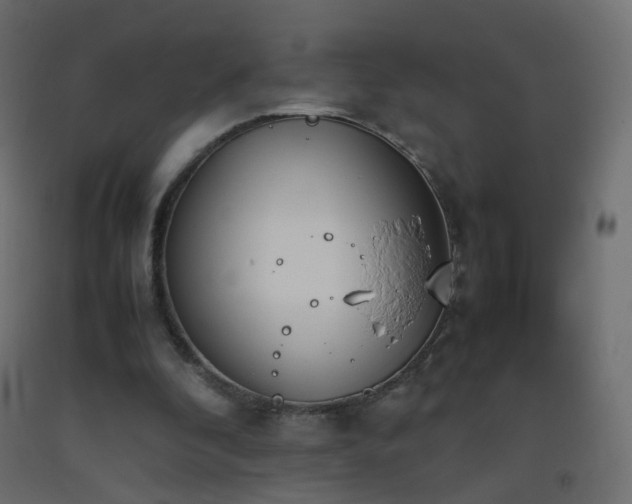 X0000093390296200710111520