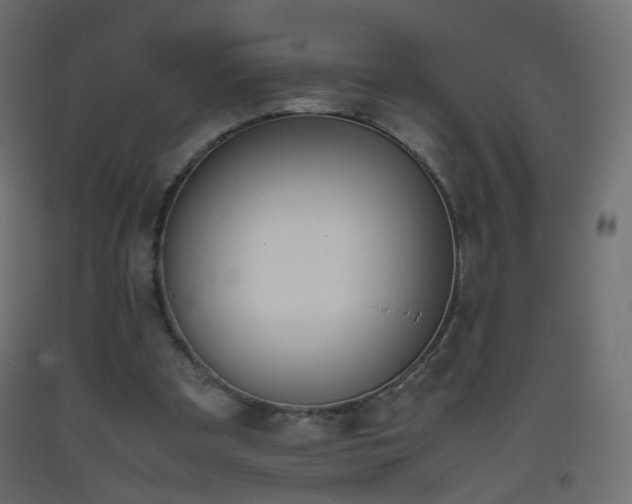 X0000093390297200710111520