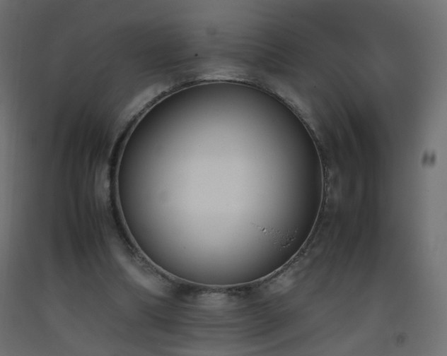 X0000093390298200710111520