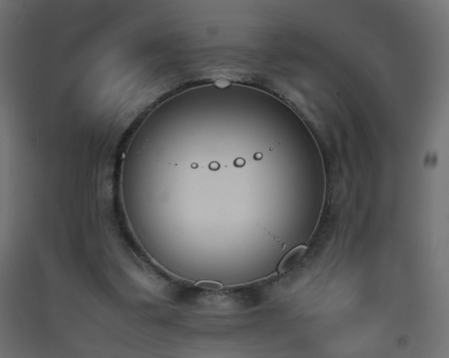 X0000093390299200710111520