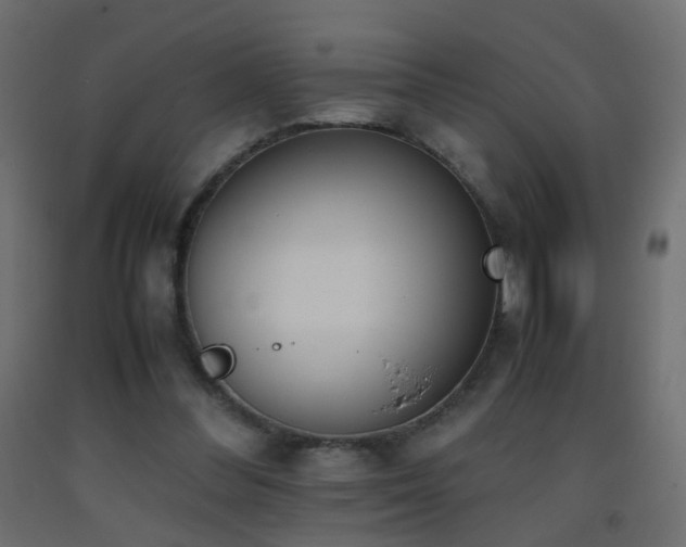 X0000093390300200710111520