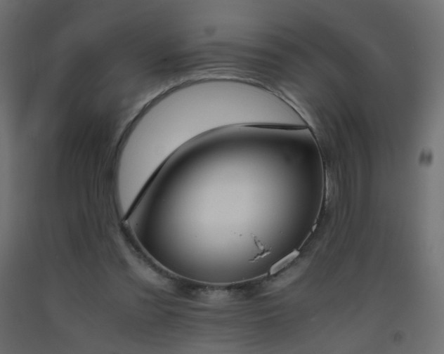 X0000093390301200710111520