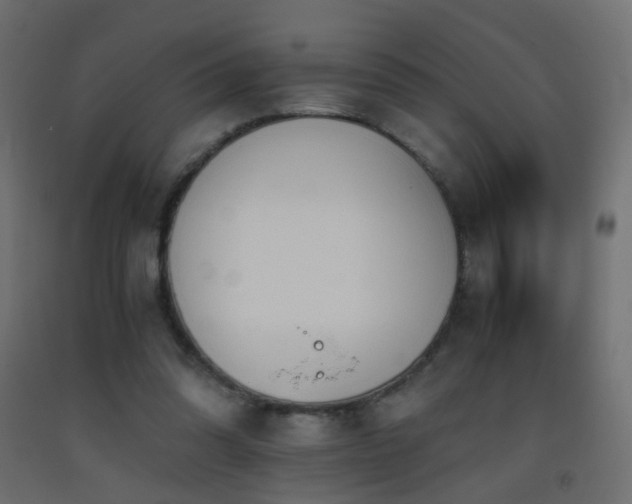 X0000093390302200710111520