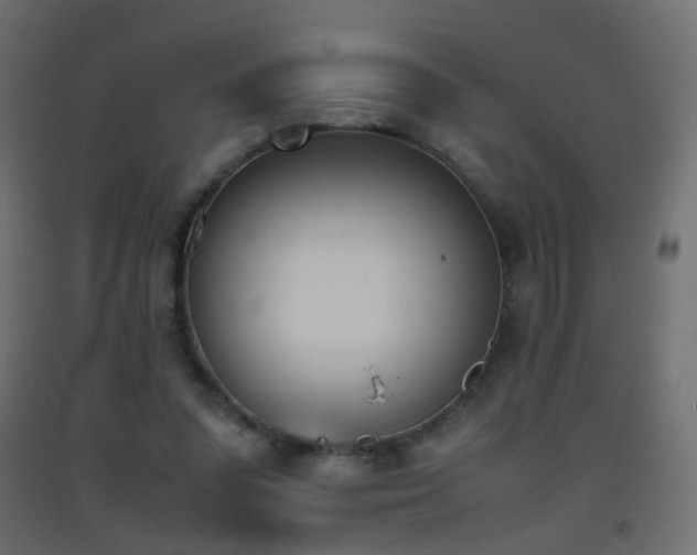 X0000093390303200710111520