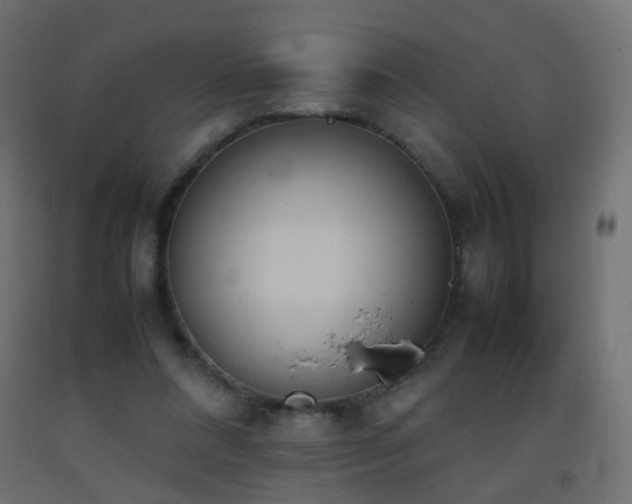 X0000093390304200710111520