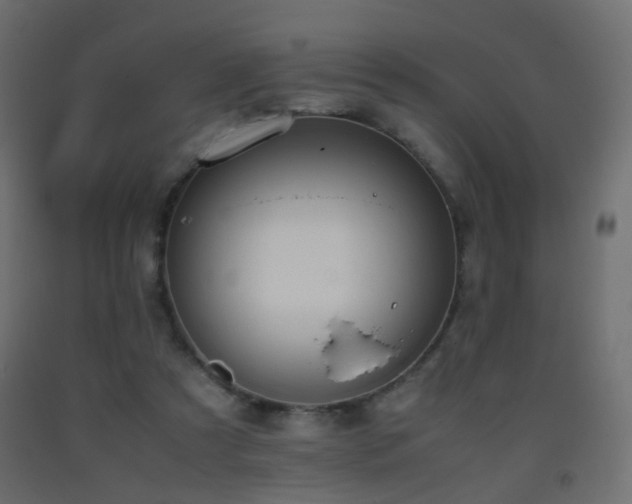 X0000093390305200710111520