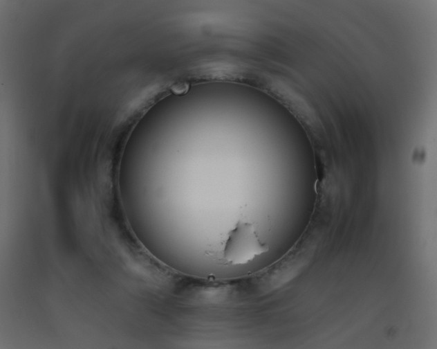 X0000093390306200710111520