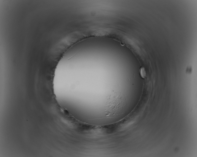 X0000093390307200710111520