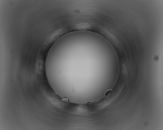 X0000093390308200710111520