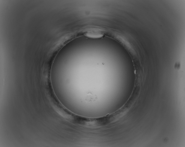 X0000093390309200710111520