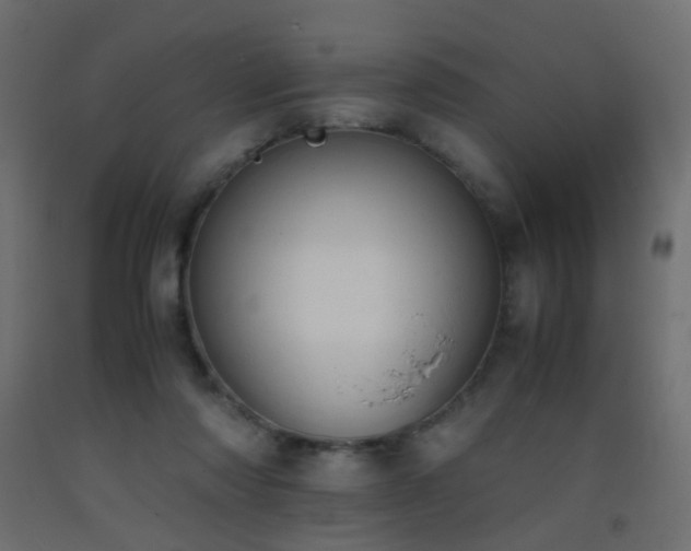 X0000093390310200710111520