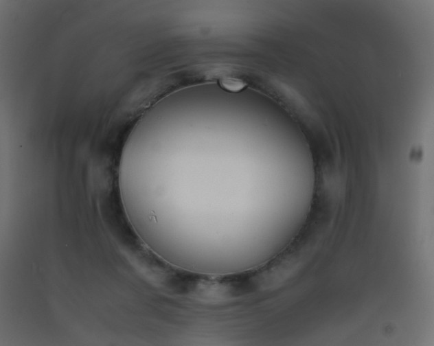 X0000093390311200710111520