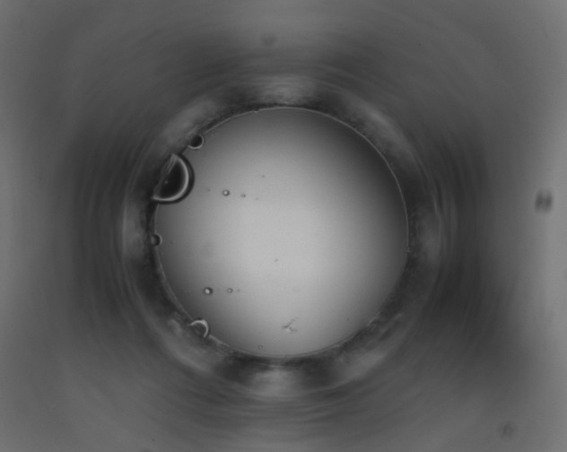 X0000093390312200710111520