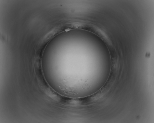 X0000093390313200710111520