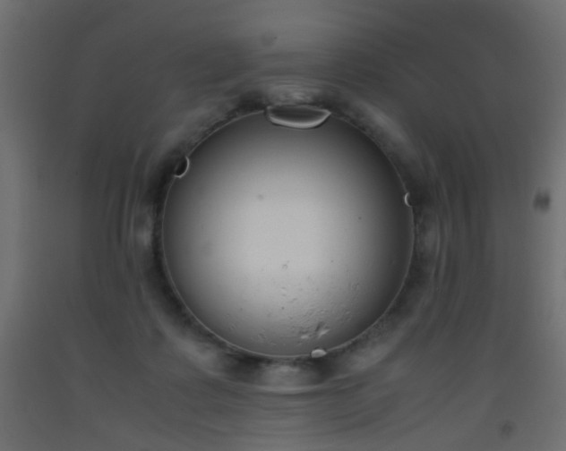 X0000093390315200710111520