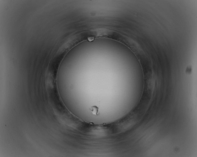 X0000093390316200710111520