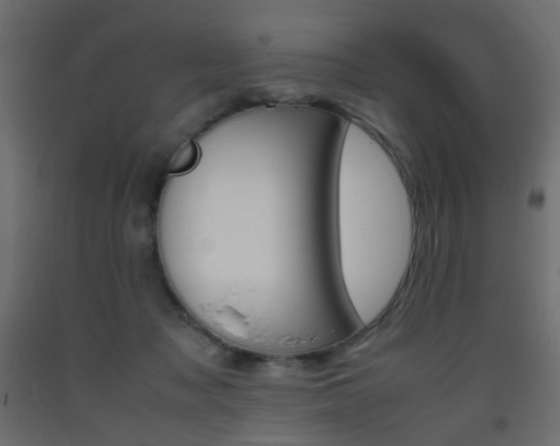 X0000093390317200710111520