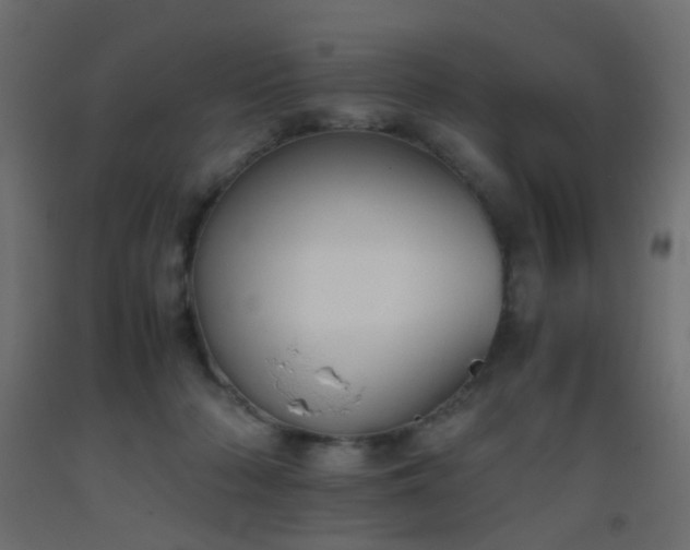 X0000093390318200710111520