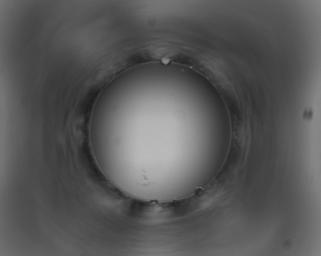 X0000093390319200710111520