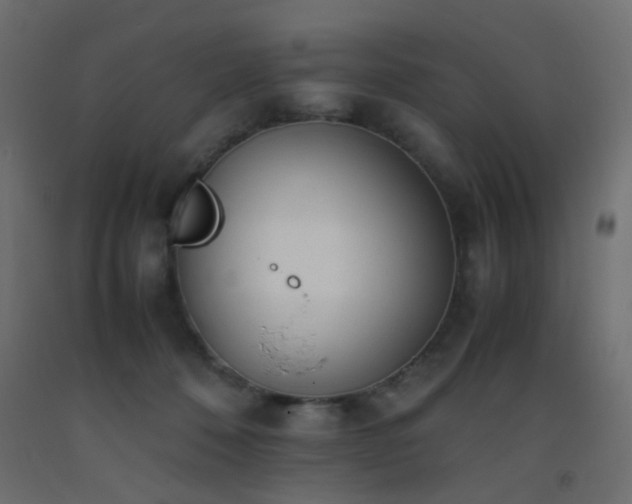 X0000093390320200710111520