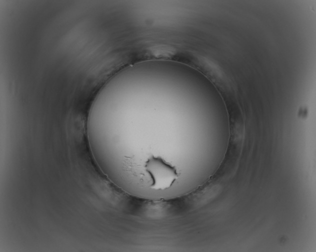 X0000093390321200710111520