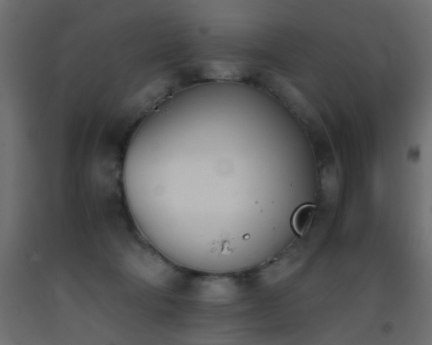 X0000093390322200710111520