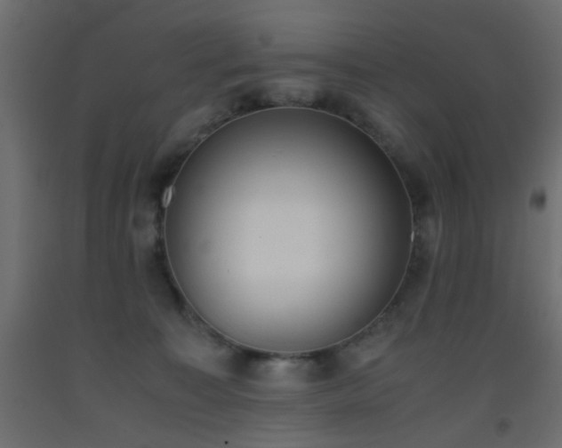 X0000093390323200710111520