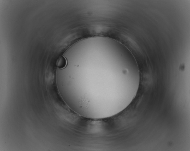 X0000093390324200710111520