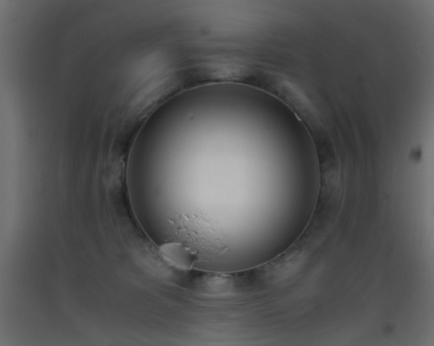 X0000093390325200710111520