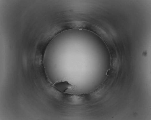 X0000093390326200710111520