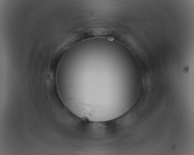 X0000093390327200710111520