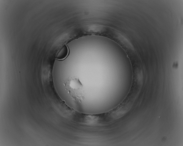 X0000093390328200710111520