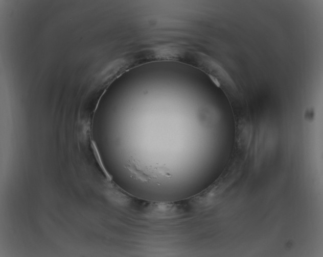 X0000093390329200710111520